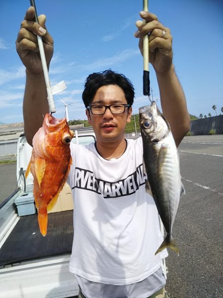 康仁丸・ジギング釣り果